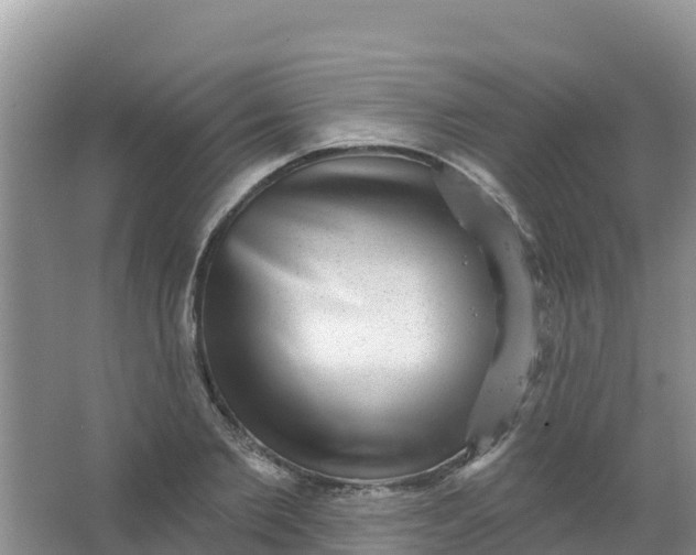 X0000066950885200604071935