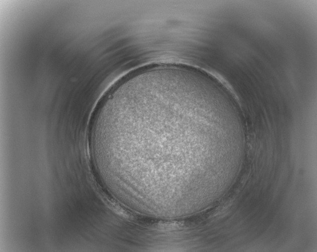 X0000066950887200604071935