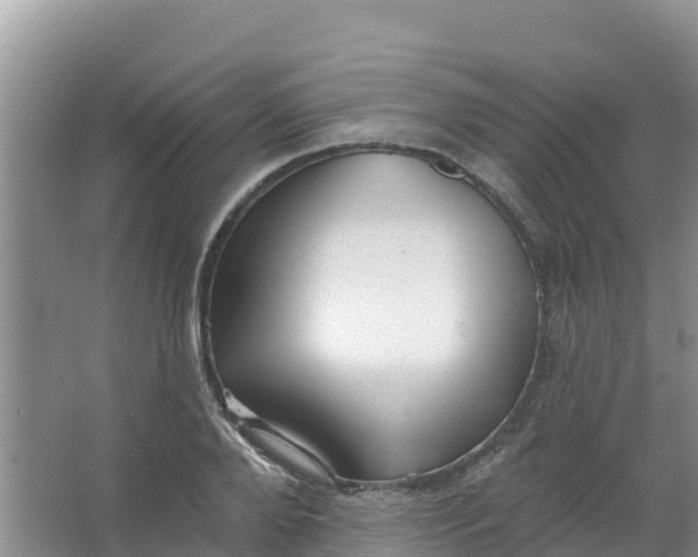 X0000066950888200604071935