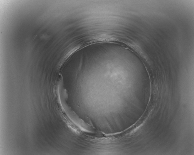 X0000066950889200604071935