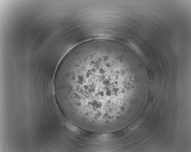 X0000066950891200604071935