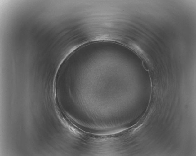 X0000066950892200604071935