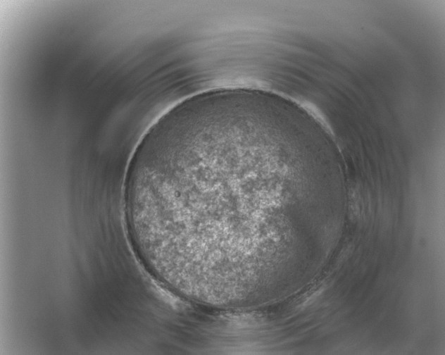 X0000066950895200604071935