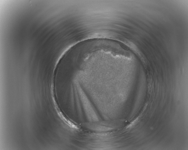 X0000066950896200604071935