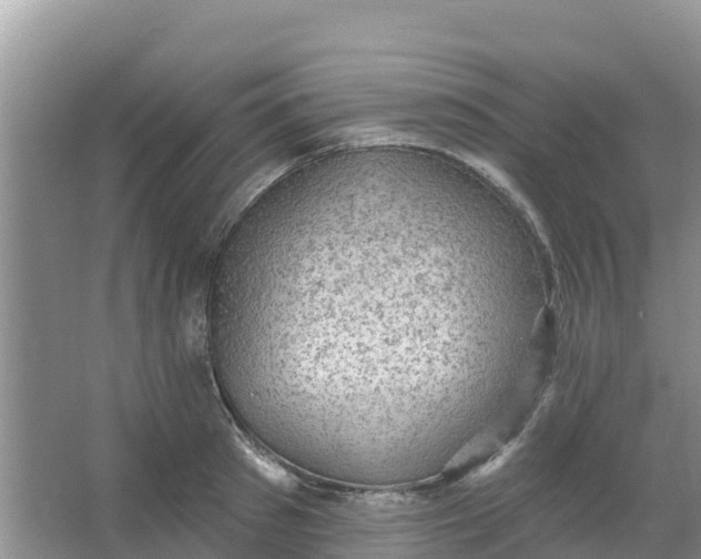 X0000066950897200604071935