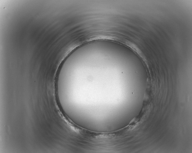 X0000066950898200604071935