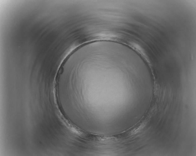 X0000066950899200604071935