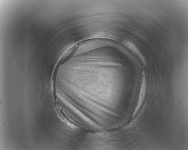 X0000066950900200604071935