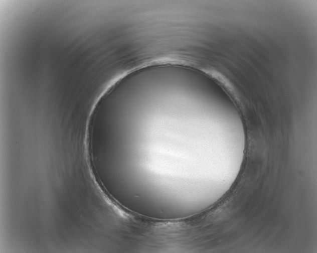 X0000066950902200604071935