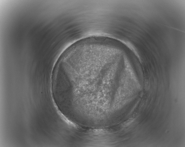 X0000066950903200604071935