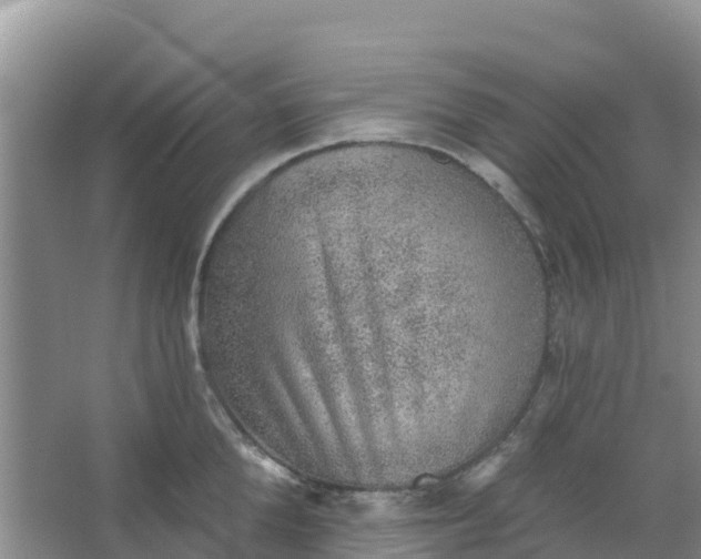 X0000066950904200604071935