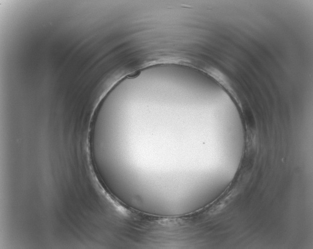 X0000066950906200604071935