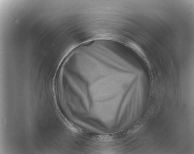 X0000066950907200604071935