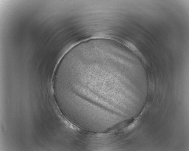 X0000066950908200604071935