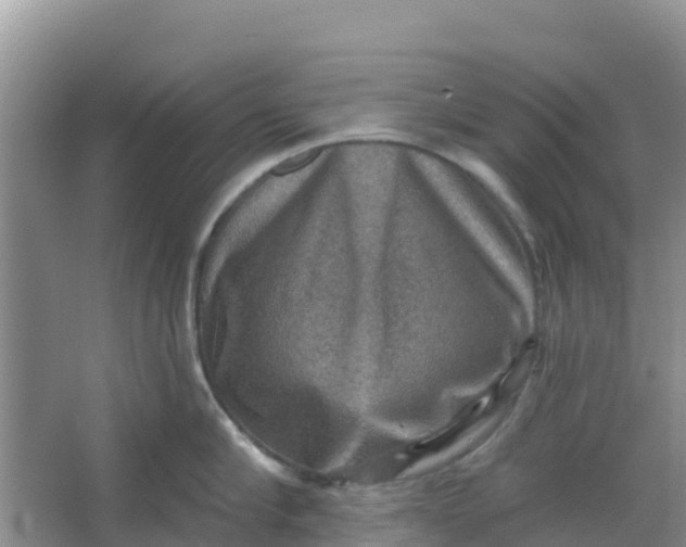 X0000066950910200604071935