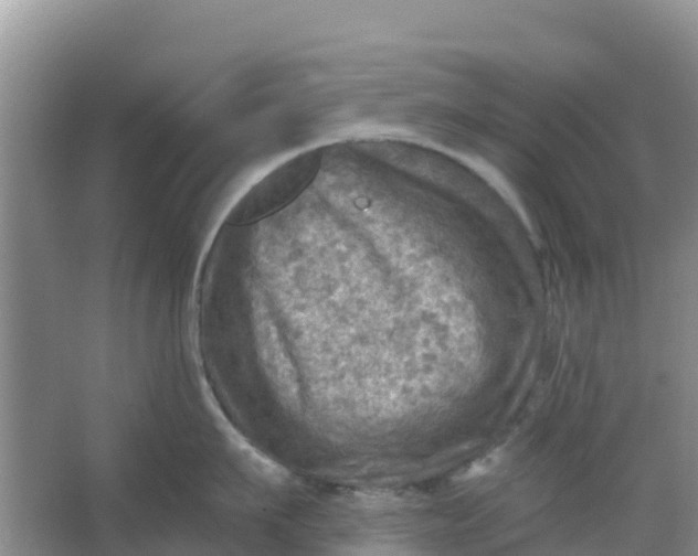 X0000066950911200604071935