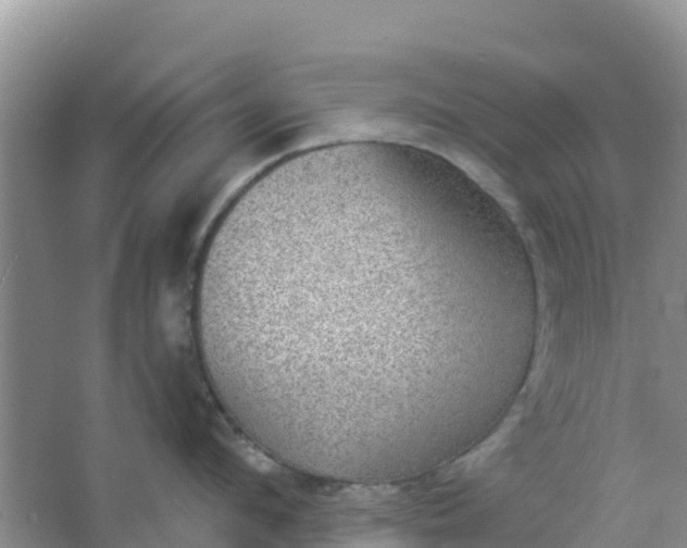 X0000066950912200604071935