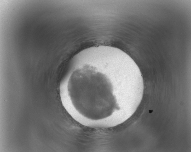 X0000066950913200604071934