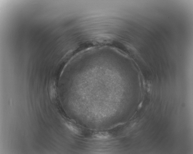 X0000066950915200604071934