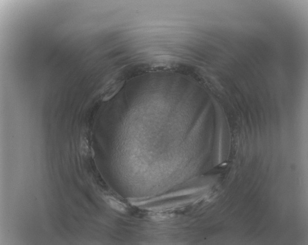 X0000066950916200604071934