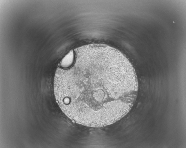 X0000066950918200604071934