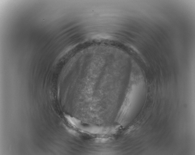 X0000066950919200604071934