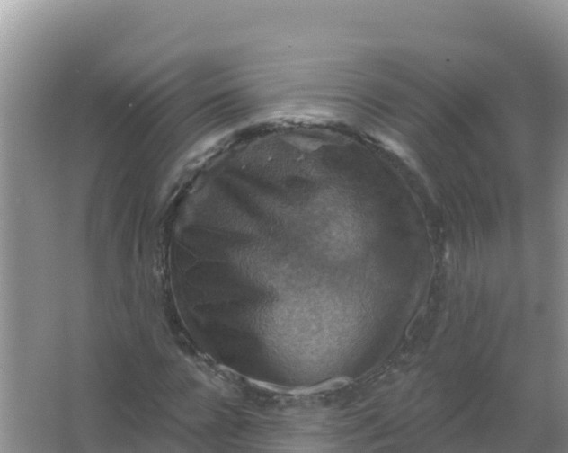 X0000066950920200604071934