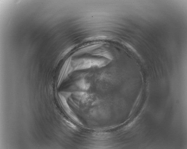 X0000066950921200604071934