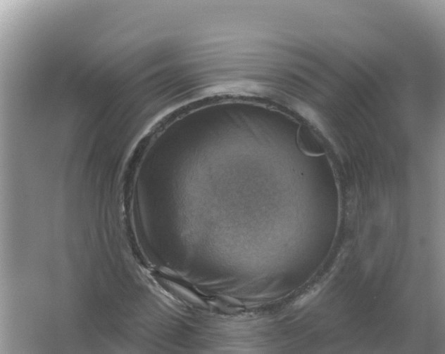 X0000066950923200604071934