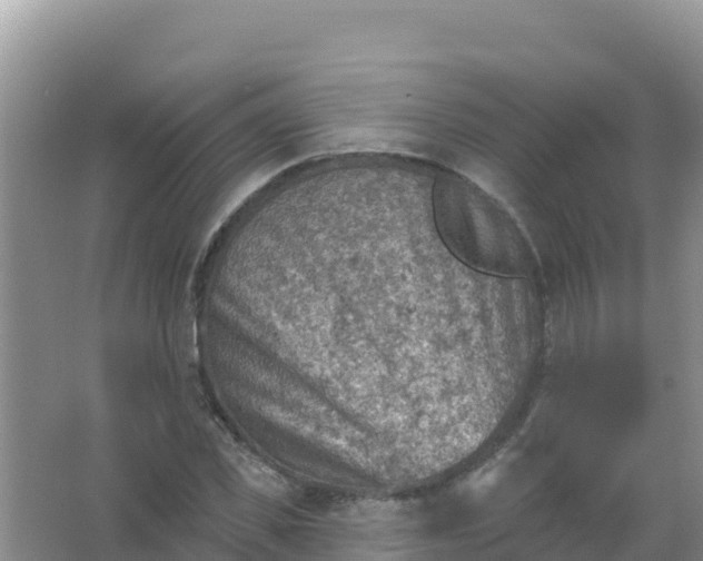 X0000066950925200604071934