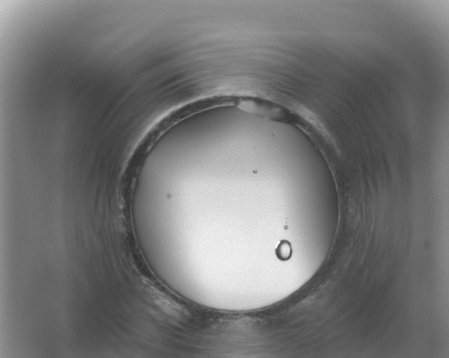 X0000066950926200604071934