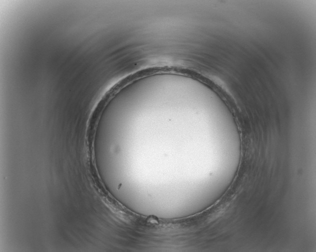 X0000066950927200604071934