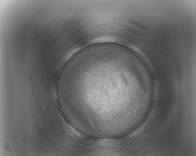 X0000066950929200604071934