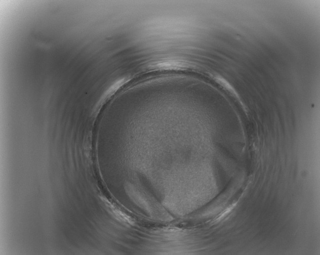 X0000066950930200604071934