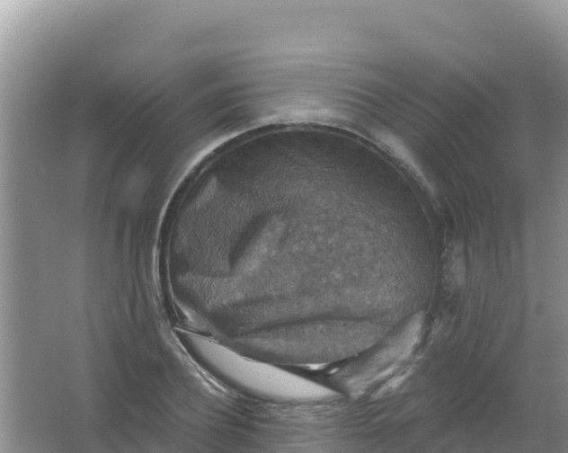 X0000066950932200604071934