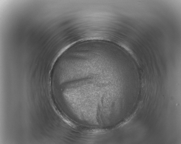 X0000066950933200604071934