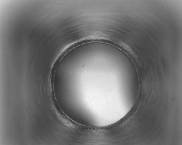 X0000066950934200604071934