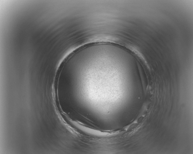 X0000066950936200604071935