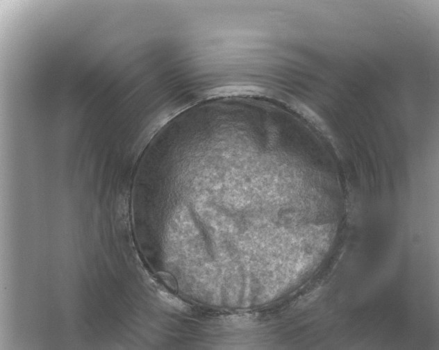 X0000066950937200604071935