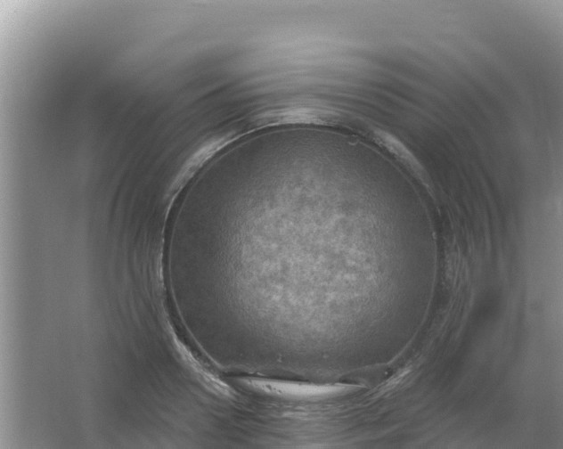 X0000066950938200604071935