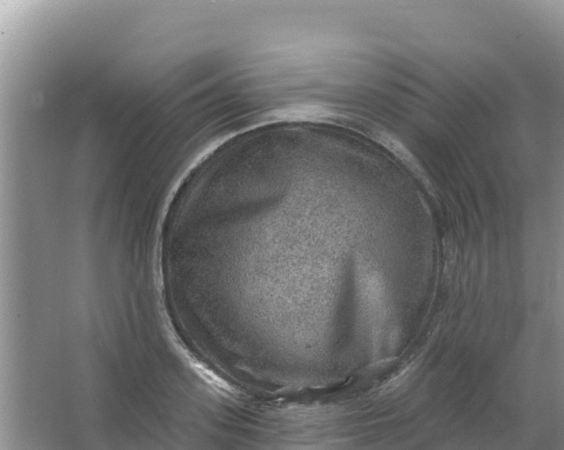 X0000066950939200604071935