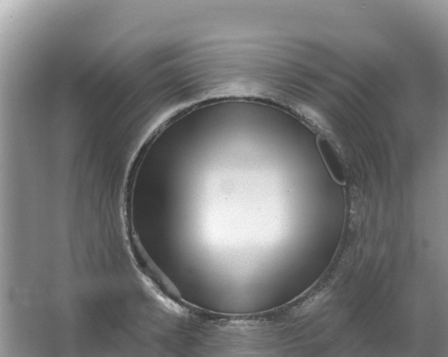 X0000066950942200604071935