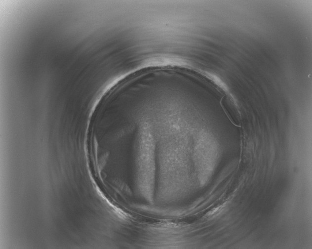 X0000066950943200604071935