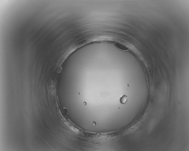 X0000066950945200604071935