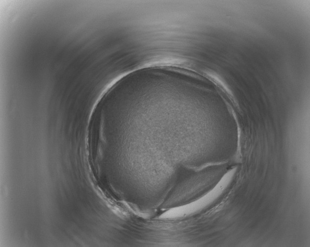 X0000066950948200604071935