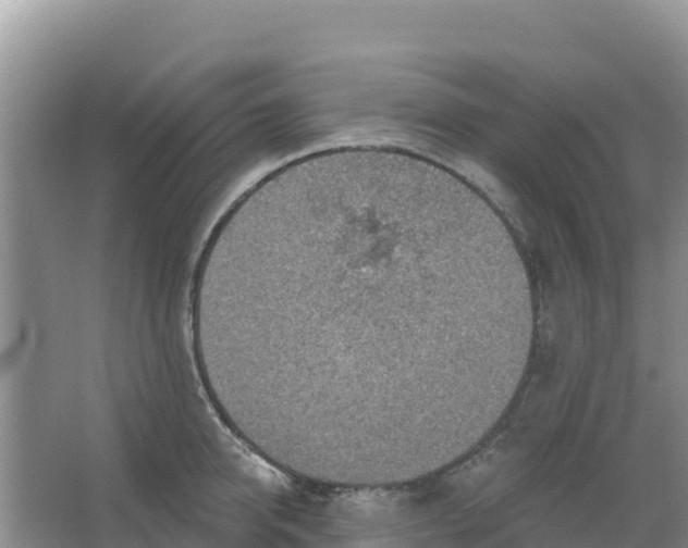 X0000066950950200604071935