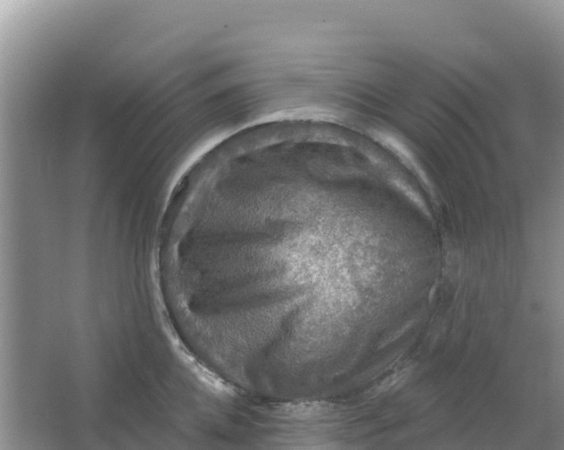 X0000066950952200604071935