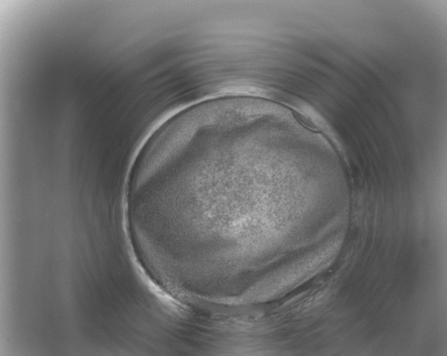 X0000066950955200604071935