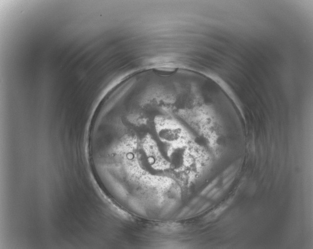 X0000066950957200604071935