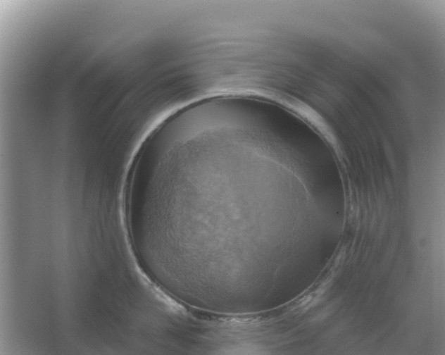 X0000066950958200604071935